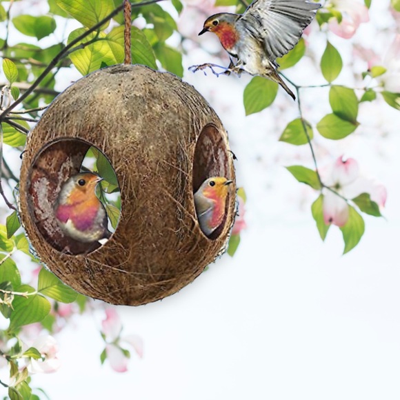 TRADED 💜FANCY SWAP💜 - Picture 2 of 5